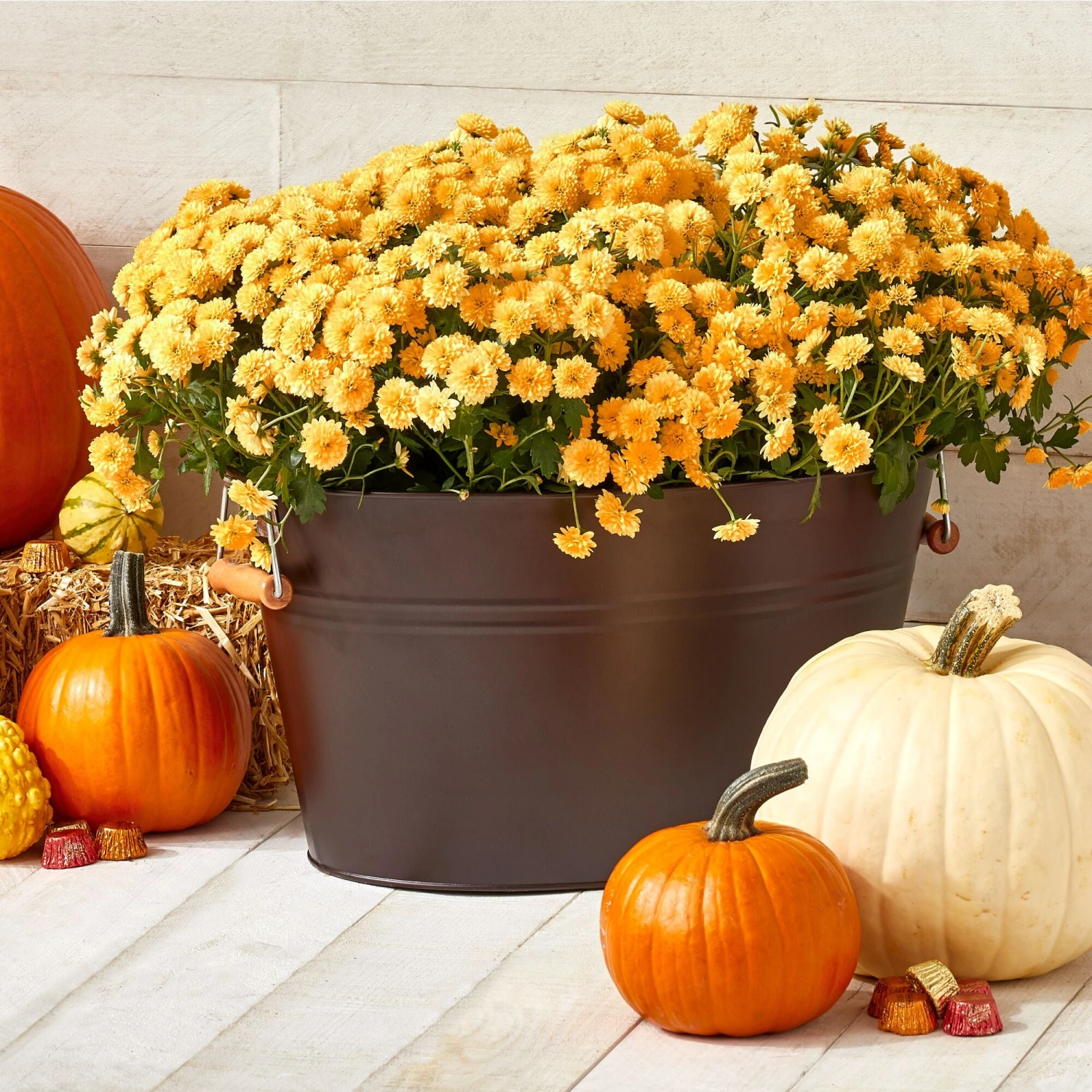 Beverage Tub with Bamboo Handles Beverage Tub With Bamboo Handles -mDesign 2000 Square JPG 11008MDK Environment 1