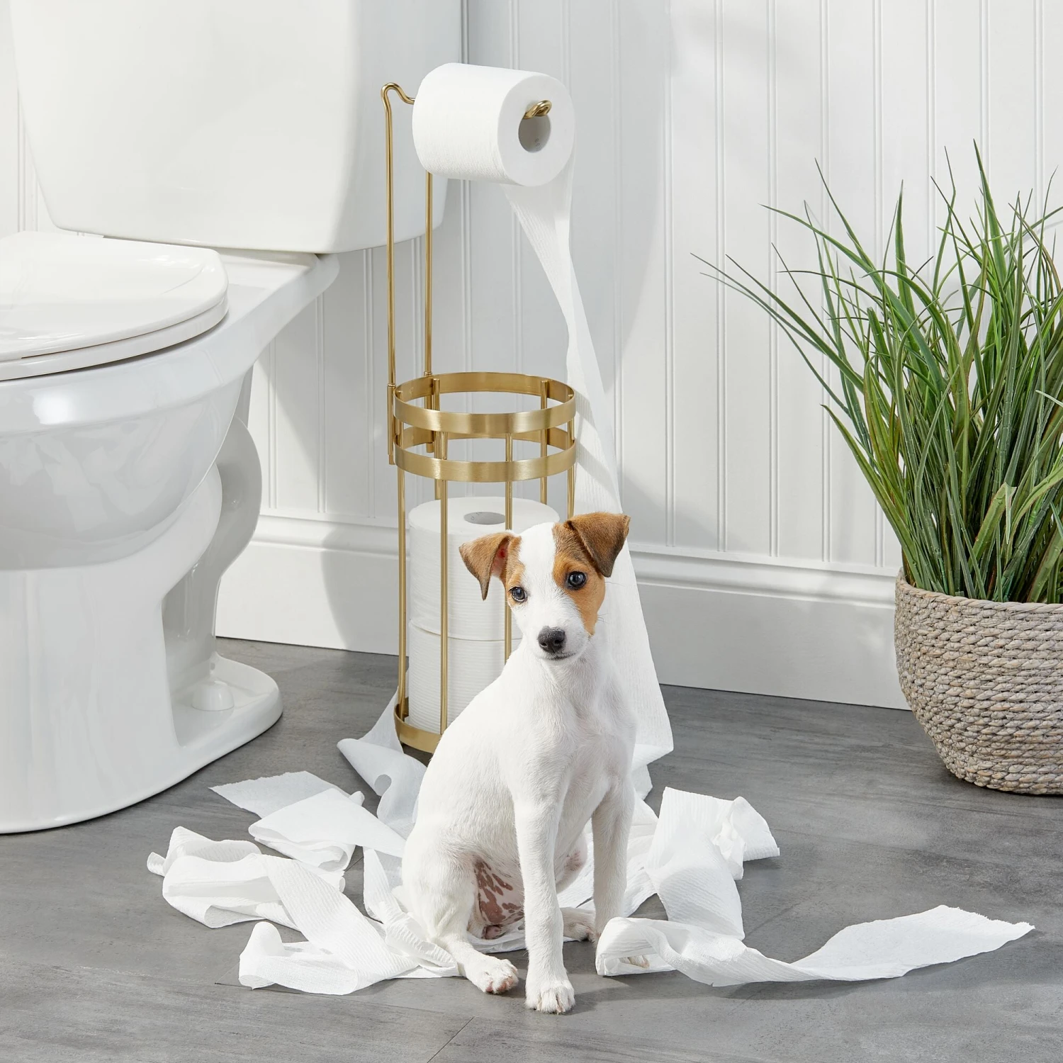 Toilet Paper Holder Stand with 3-Roll Reserve Toilet Paper Holder Stand With 3-Roll Reserve -mDesign 2000 Square JPG 17354MDBST dog 20day3