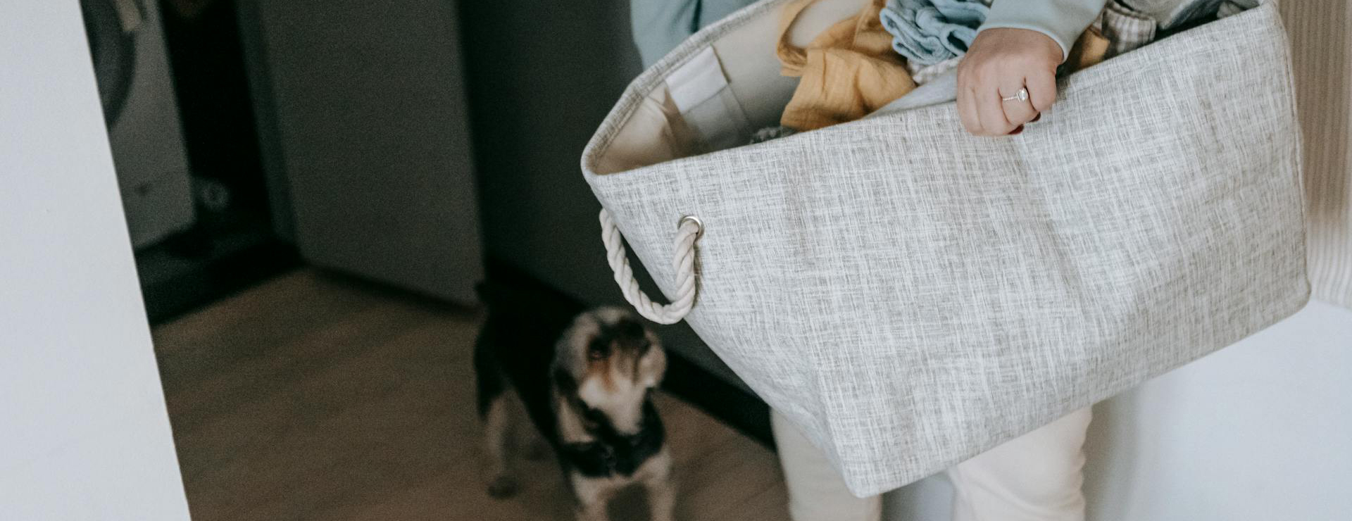 mDesign 2 mDesign -mDesign pexels sarah chai 7282381